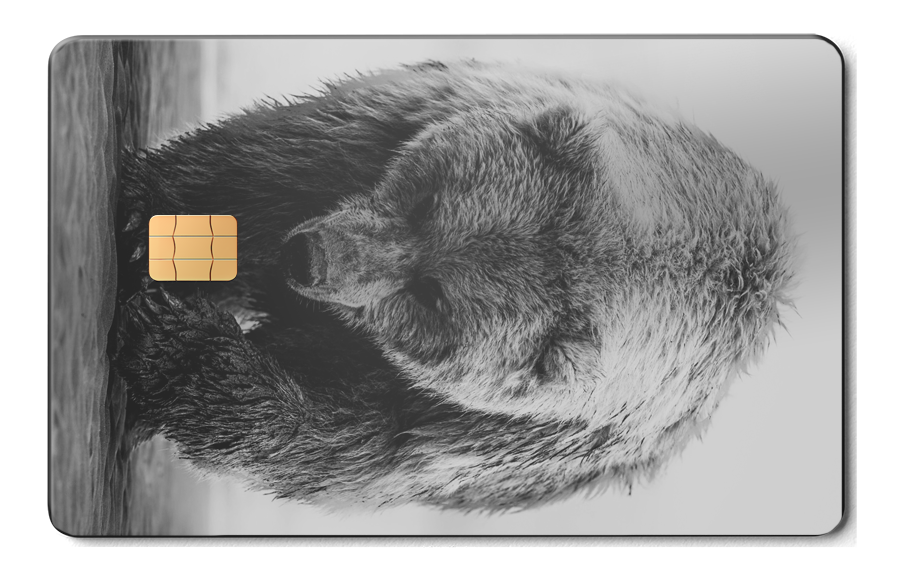 weight of the world - перевод