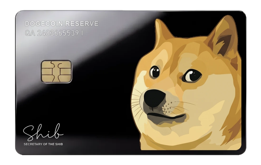 Doge Coin Reserve - mirror_black