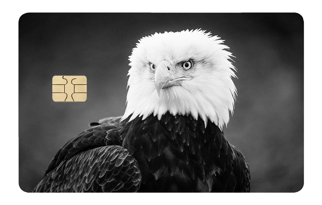 Bald Eagle - black